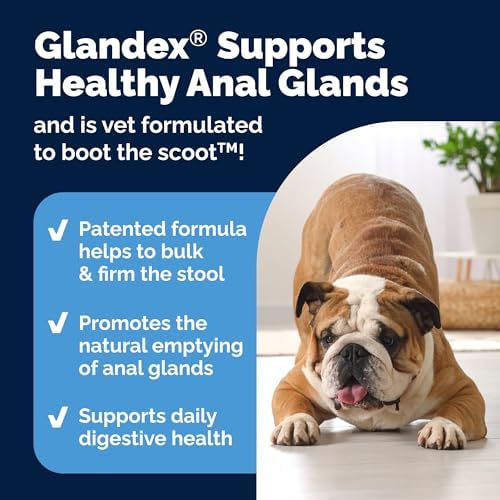 Vetnique Glandex Dog Fiber Supplement Powder for Anal Gland Health with Pumpkin  Digestive Enzymes & Probiotics   Vet Recommended  Regular or Advanced Strength    Boot The Scoot  5 5 oz  Salmon 