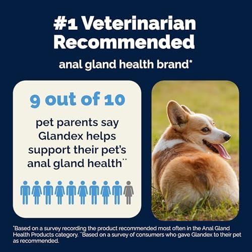 Vetnique Glandex Dog Fiber Supplement Powder for Anal Gland Health with Pumpkin  Digestive Enzymes & Probiotics   Vet Recommended  Regular or Advanced Strength    Boot The Scoot  5 5 oz  Salmon 