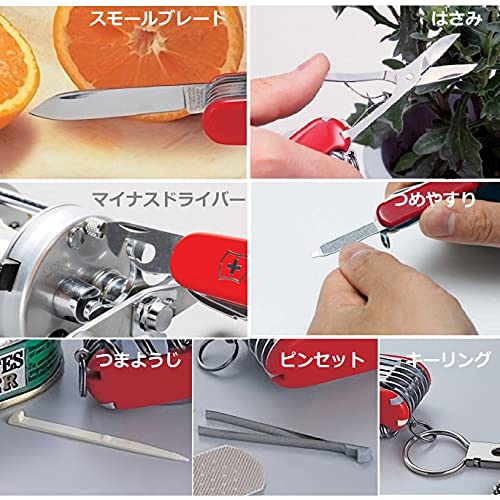Victorinox Classic SD Swiss Army Knife  Compact  7 Functions  Swiss Made Pocket Knife with Small Blade  Screwdriver and Key Ring   Cupcake Dream  Pink Translucent
