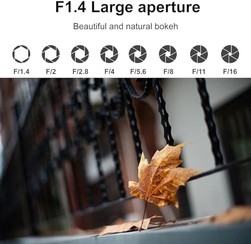 Viltrox AF 13mm F1 4 APS C Lens for Sony E Mount  Ultra Wide Angle Prime Lens for Sony E Mount Cameras a9 a7RIV a7IV a7RIII a7SIII a7II a7C ZV E10II ZV E10 a6700 a6600 a6500 a6400 a6300 a6100 a5100