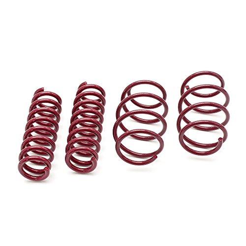 Vogtland lowering springs 956017 compatible with VW Polo