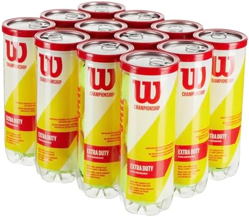 WILSON Championship Tennis Balls
