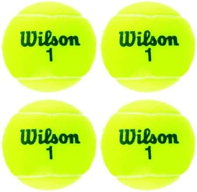 WILSON Championship Tennis Balls