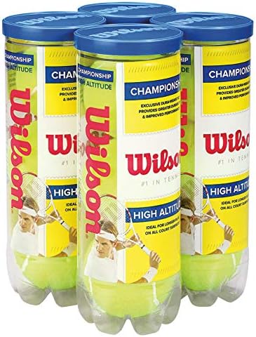 WILSON Championship Tennis Balls