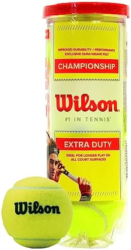 WILSON Championship Tennis Balls