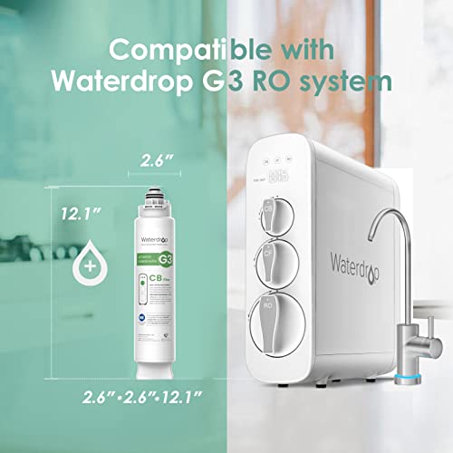 Waterdrop WD G3 CF Filter  with WD G3 CB Filter  Replacement for WD G3 W  WD G3P600 and WD G3P800 W Reverse Osmosis System  Bundle
