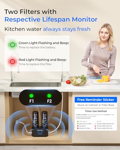 Waterdrop WD-TSA-UF - Filtro de agua para debajo del fregadero de 0.01 μm, sistema de filtración de agua debajo del fregadero, filtración de 9 etapas, reduce el cloro, el sabor y el olor, fluoruro,