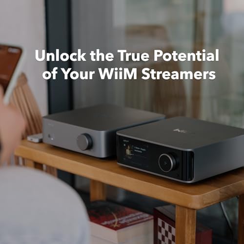 WiiM Vibelink Amp   100W Power Amplifier with Premium ESS 9039Q2M DAC and TI TPA3255   Compatible with WiiM Mini  Pro  Pro Plus  and Ultra   RCA  Coax  and Optical Inputs   Space Gray