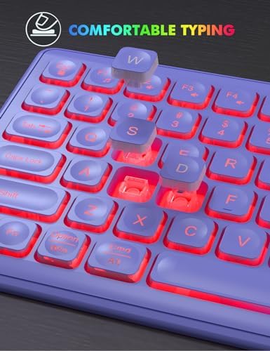 Wireless Keyboard and Mouse Combo  RGB Backlit  Rechargeable & Light Up Letters  Full Size  Soft Typing  Sleep Mode  2 4GHz Quiet Keyboard Set for Mac  Windows  Laptop  PC  Trueque  Black 