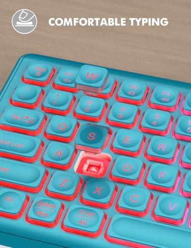 Wireless Keyboard and Mouse Combo  RGB Backlit  Rechargeable & Light Up Letters  Full Size  Soft Typing  Sleep Mode  2 4GHz Quiet Keyboard Set for Mac  Windows  Laptop  PC  Trueque  Black 