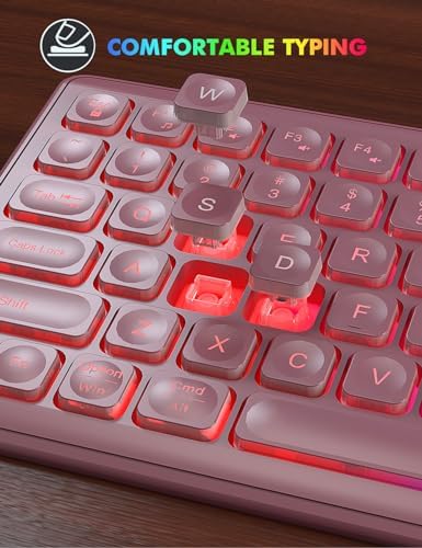 Wireless Keyboard and Mouse Combo  RGB Backlit  Rechargeable & Light Up Letters  Full Size  Soft Typing  Sleep Mode  2 4GHz Quiet Keyboard Set for Mac  Windows  Laptop  PC  Trueque  Black 