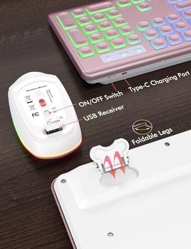 Wireless Keyboard and Mouse Combo  RGB Backlit  Rechargeable & Light Up Letters  Full Size  Soft Typing  Sleep Mode  2 4GHz Quiet Keyboard Set for Mac  Windows  Laptop  PC  Trueque  Black 