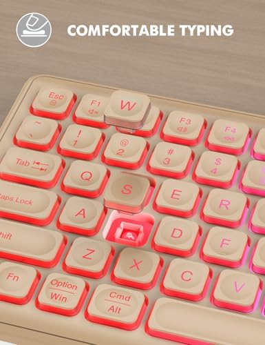 Wireless Keyboard and Mouse Combo  RGB Backlit  Rechargeable & Light Up Letters  Full Size  Soft Typing  Sleep Mode  2 4GHz Quiet Keyboard Set for Mac  Windows  Laptop  PC  Trueque  Black 