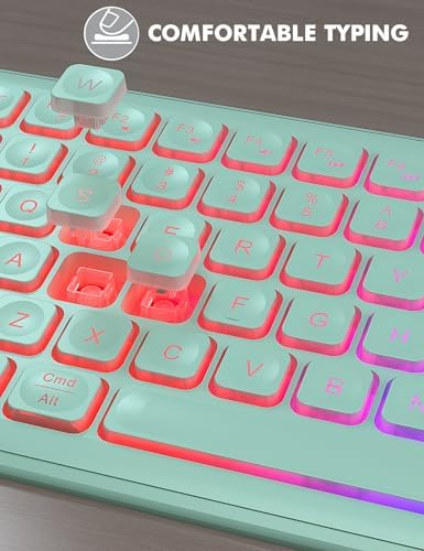 Wireless Keyboard and Mouse Combo  RGB Backlit  Rechargeable & Light Up Letters  Full Size  Soft Typing  Sleep Mode  2 4GHz Quiet Keyboard Set for Mac  Windows  Laptop  PC  Trueque  Black 