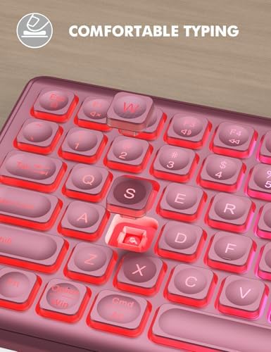 Wireless Keyboard and Mouse Combo  RGB Backlit  Rechargeable & Light Up Letters  Full Size  Soft Typing  Sleep Mode  2 4GHz Quiet Keyboard Set for Mac  Windows  Laptop  PC  Trueque  Black 