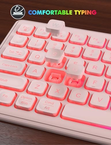 Wireless Keyboard and Mouse Combo  RGB Backlit  Rechargeable & Light Up Letters  Full Size  Soft Typing  Sleep Mode  2 4GHz Quiet Keyboard Set for Mac  Windows  Laptop  PC  Trueque  Black 