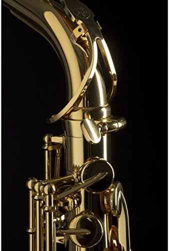 YAMAHA YAS 280 Saxophones Student Alto Saxophones  Eb  Gold Lacquer