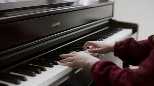 Yamaha Arius Series 88 Key Weighted Action Upright Digital Piano for Beginner and Intermediate Players  Dynamic Response  Grand Piano Sound  3 pedal Unit  Bench Included  Rosewood YDP105R
