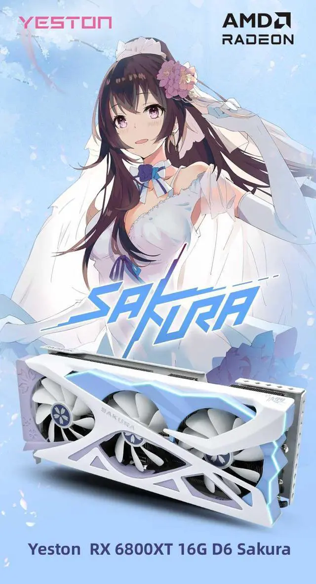 Yeston Radeon RX 6800 XT 16GB D6 GDDR6 256bit 7nm Desktop computer PC Video Graphics Cards support PCI Express 4 0 video cards 3 DP  RGB light effect Fragrant graphics card No HDMI interface 