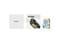 ZOTAC AMP GeForce RTX 5060 8GB GDDR7 PCI Express 5 0 x8 ATX Graphics Card RTX 5060 AMP