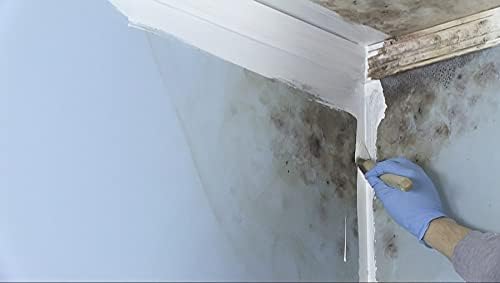 Zinsser 276049 2PK Mold Killing Primer  Gallon  White  2 Pack