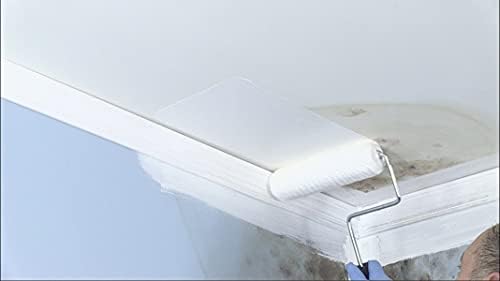 Zinsser 276049 2PK Mold Killing Primer  Gallon  White  2 Pack