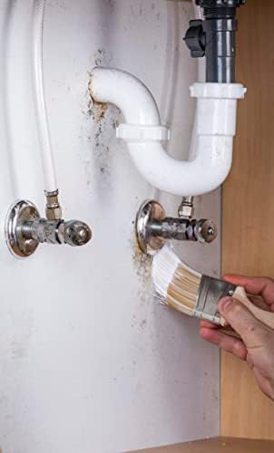 Zinsser 276049 2PK Mold Killing Primer  Gallon  White  2 Pack