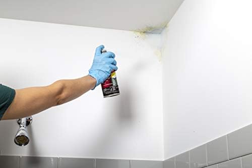 Zinsser 276049 2PK Mold Killing Primer  Gallon  White  2 Pack