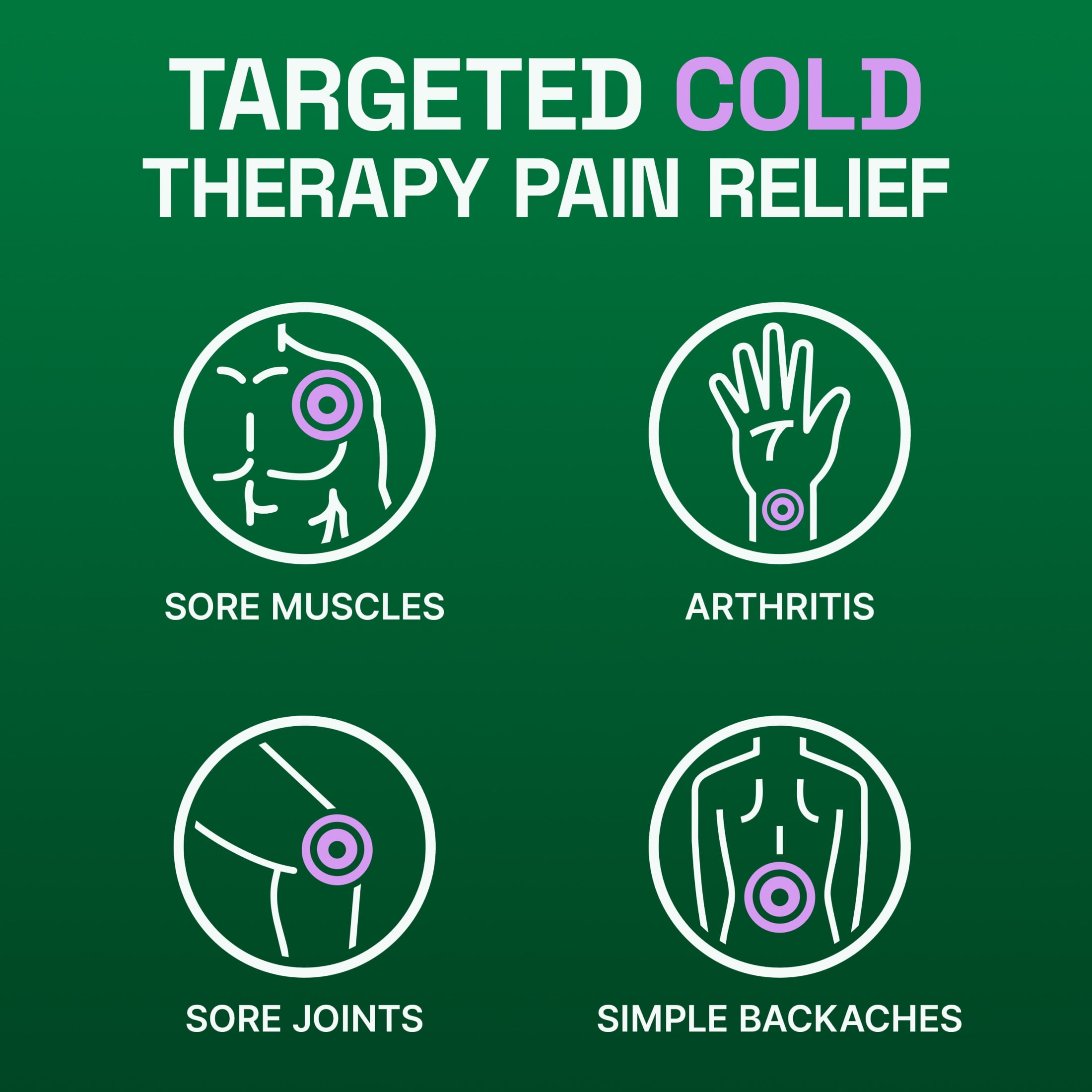 2 pack  Biofreeze Overnight Pain Relief Patches  Back Knee Muscle Joint Arthritis Pain Relievers  4 Count