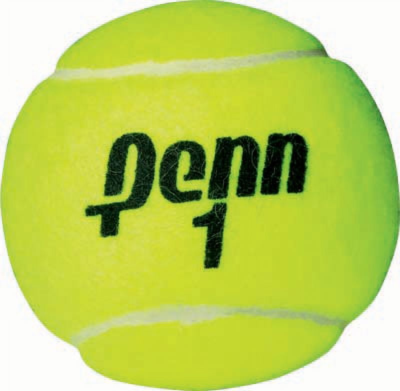  2 pack  Penn Championship Extra Duty Tennis Balls  1 Can  3 balls 