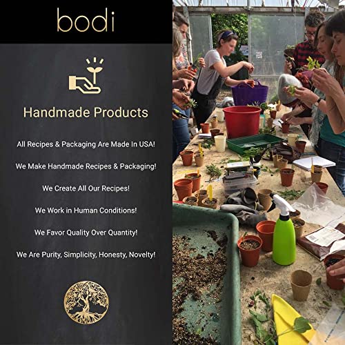 bodi   Astragalus Root Powder   4oz to 5lb   100  Pure Natural Hand Crafted  5 Lb