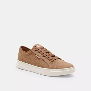 canvas sneaker