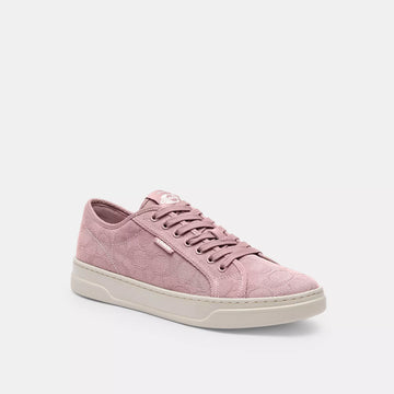 canvas sneaker