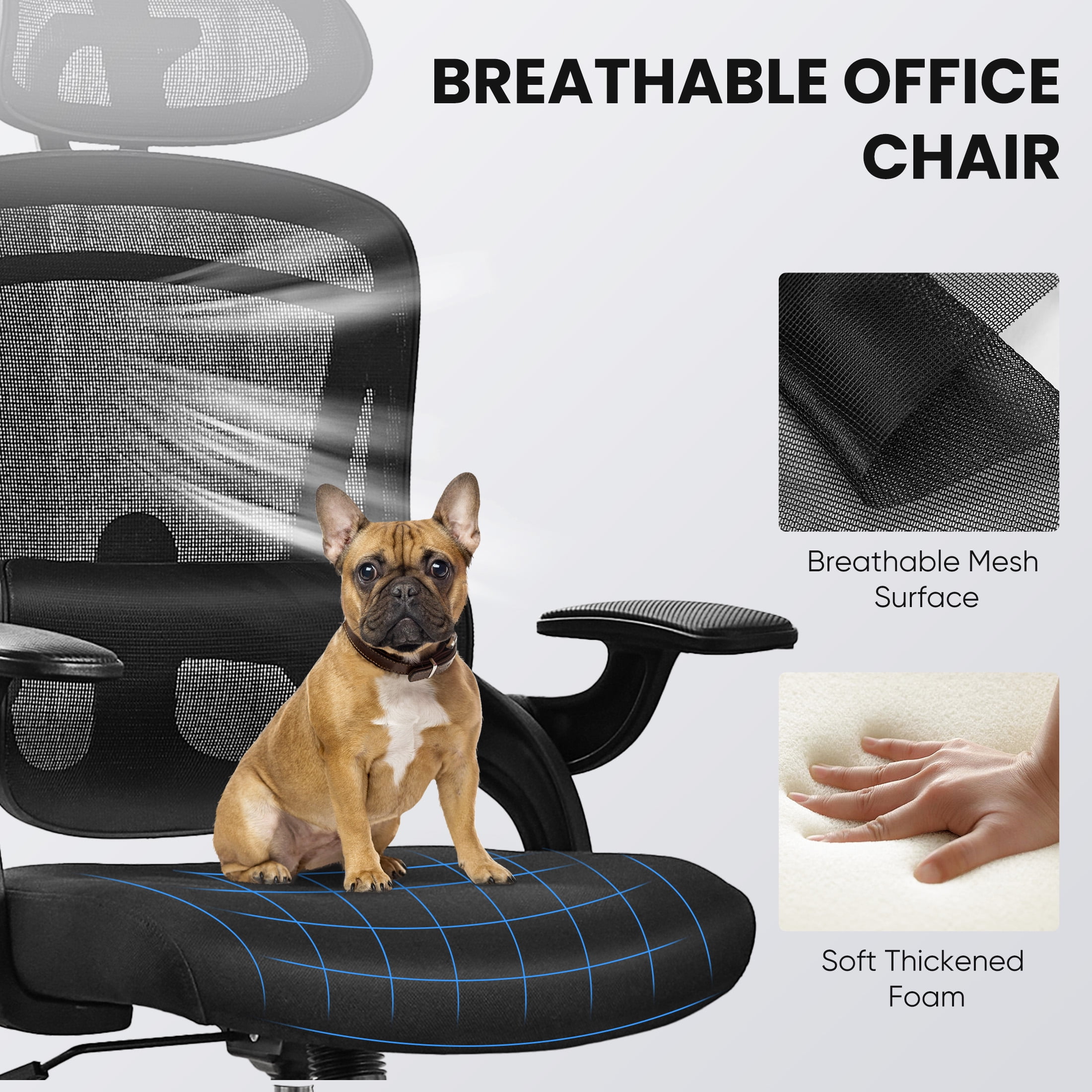 edx Ergonomic Office Chair  Mesh Computer Desk Chair with Lumbar Support  275lb  Black